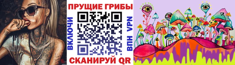Псилоцибиновые грибы Psilocybe  купить наркоту  Мончегорск 